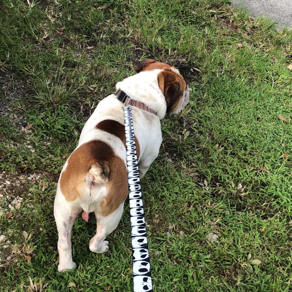 Meet your Posher, Manuel